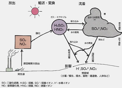 酸性雨のしくみ