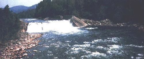 Tovdal River in Norway where salmons died