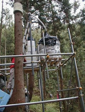 Kajikawa Catchment-Scale Monitoring Site