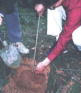土壌断面の調査（提供：戸塚 績）