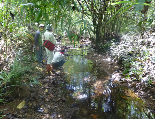 Ecological Impact Research Dept.